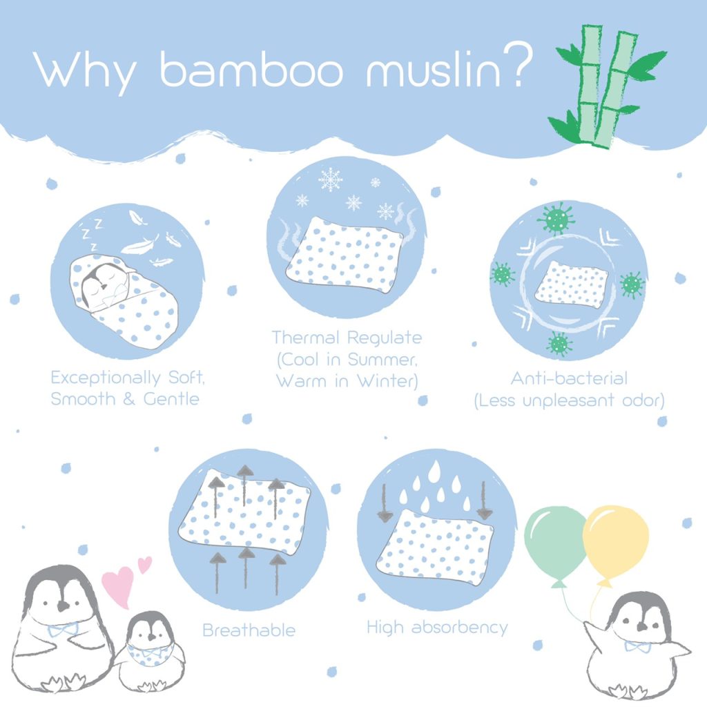 Why Bamboo_Eng 1